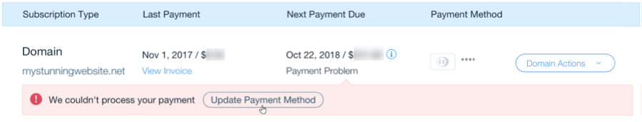 A screenshot of the Update Payment Method button for a domain.