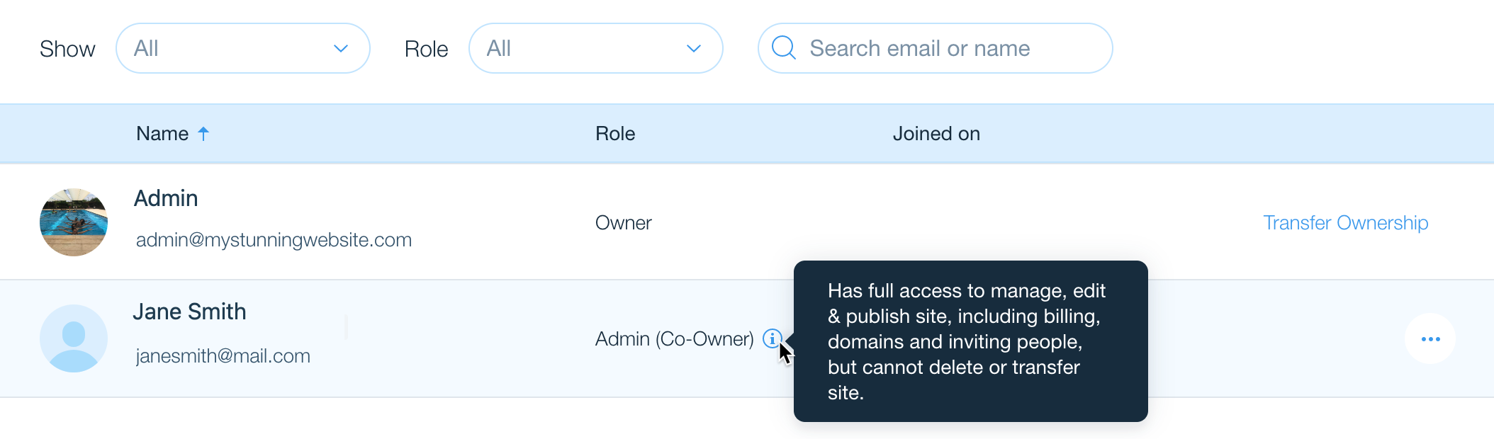 A screenshot of a collaborator in the Roles and Permissions section of a Wix account.