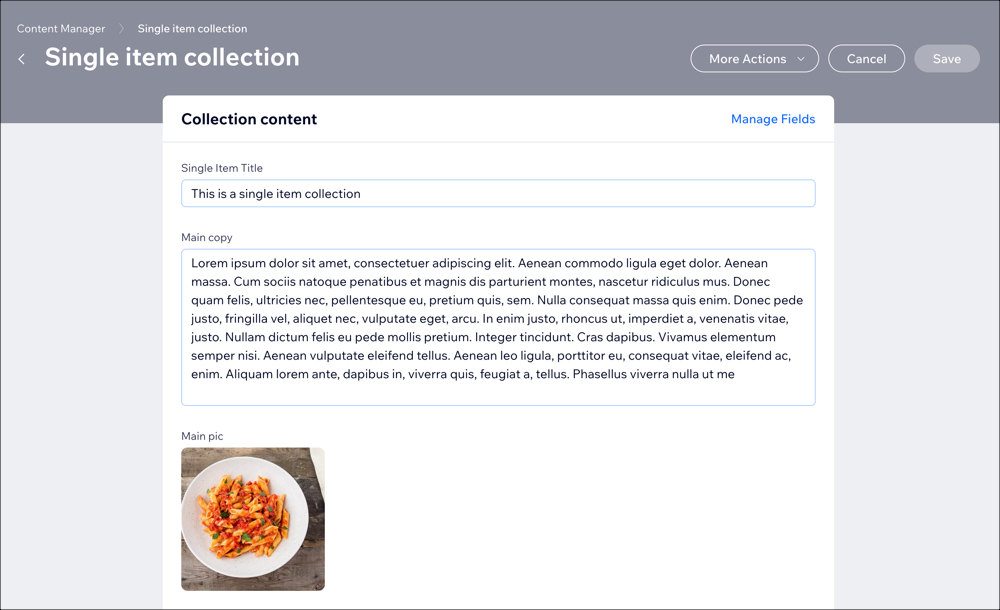 A screenshot of a Single Item collection as seen in the Content Manager.