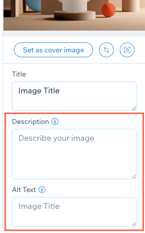 A screenshot showing where you can add alt text and a description to a piece of media in a project.