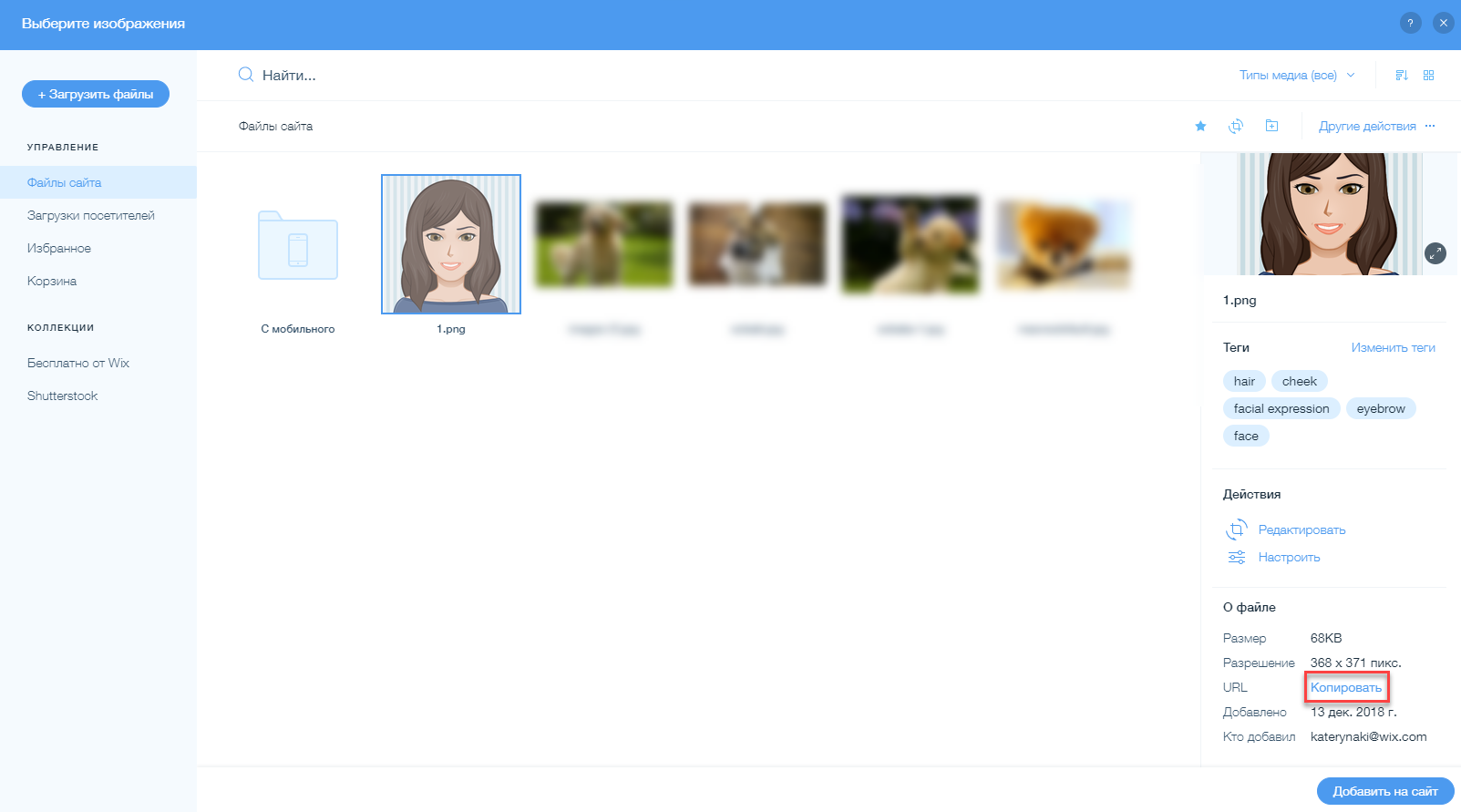 Редактор Wix: Как найти URL изображения на сайте Wix? | Центр Поддержки |  Wix.com