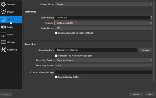 A screenshot of the Output settings in an OBS encoder.