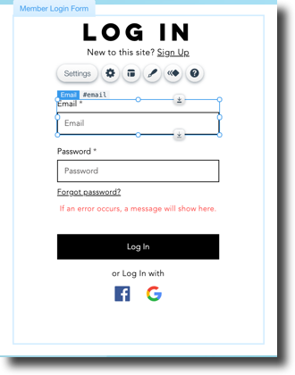 An example of a custom member login form