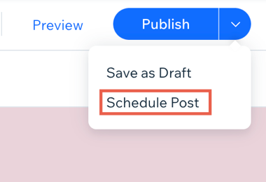 A screenshot showing the option to schedule a post.