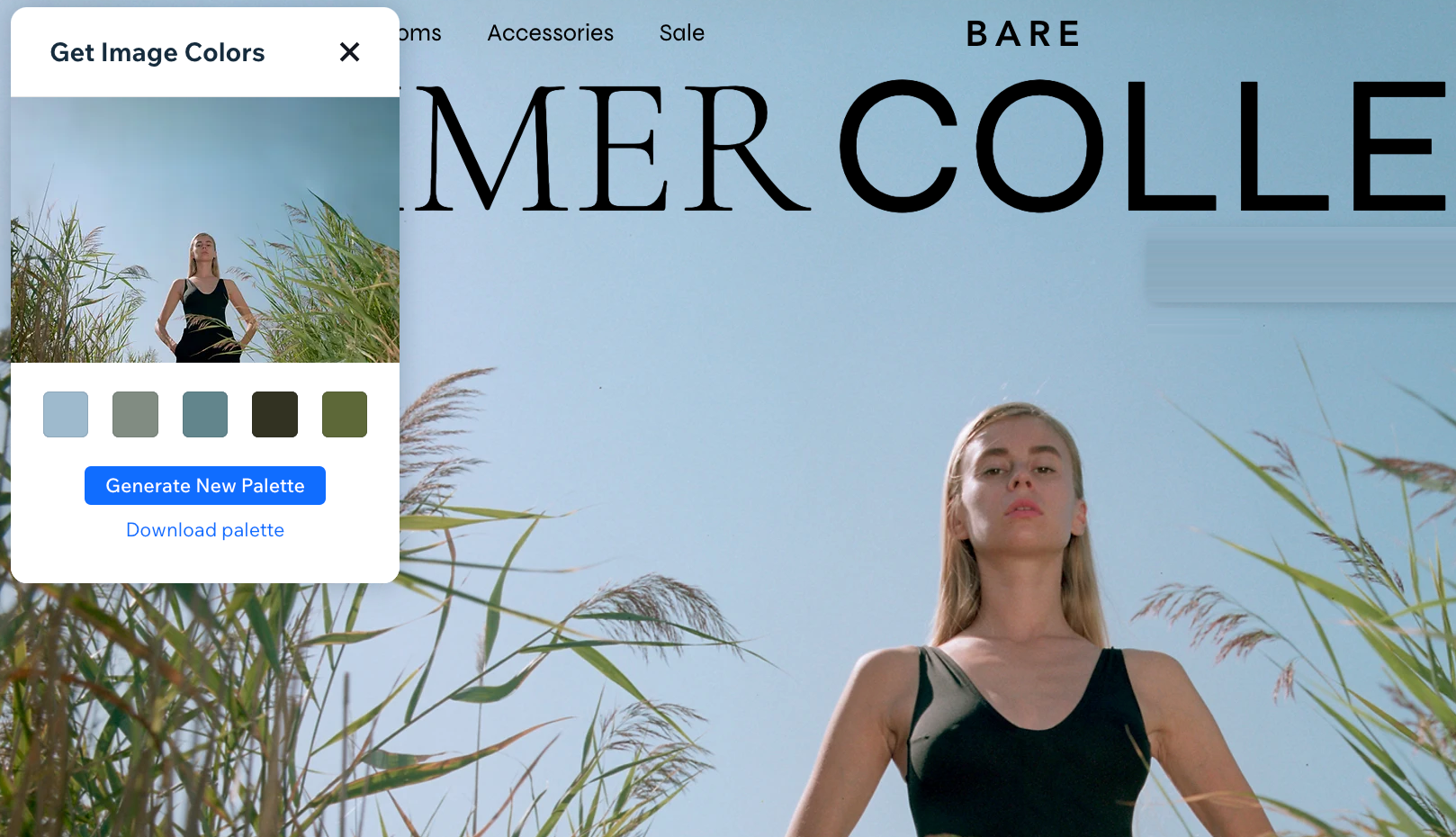 Wix Editor: Customizing Your Color Theme, Help Center