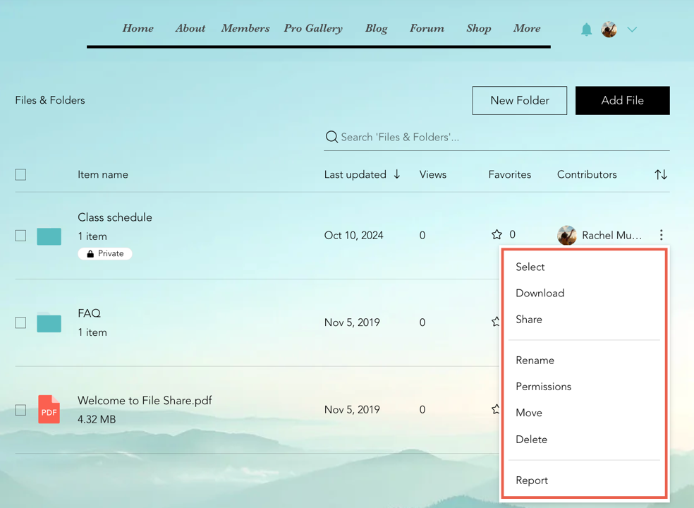 A screenshot showing the File Share page on a live site, with the option to manage your files