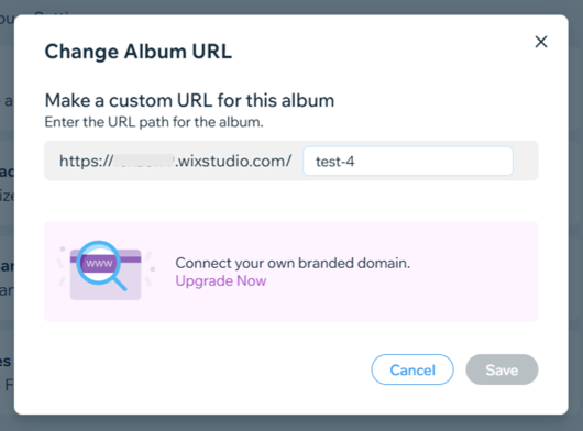 Uma captura de tela mostrando a opção de alterar o URL do álbum.