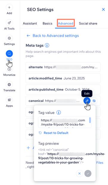 A screenshot showing the advanced meta tag settings.