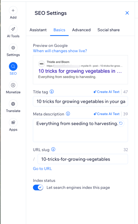 A screenshot showing the basic SEO settings available to customize.