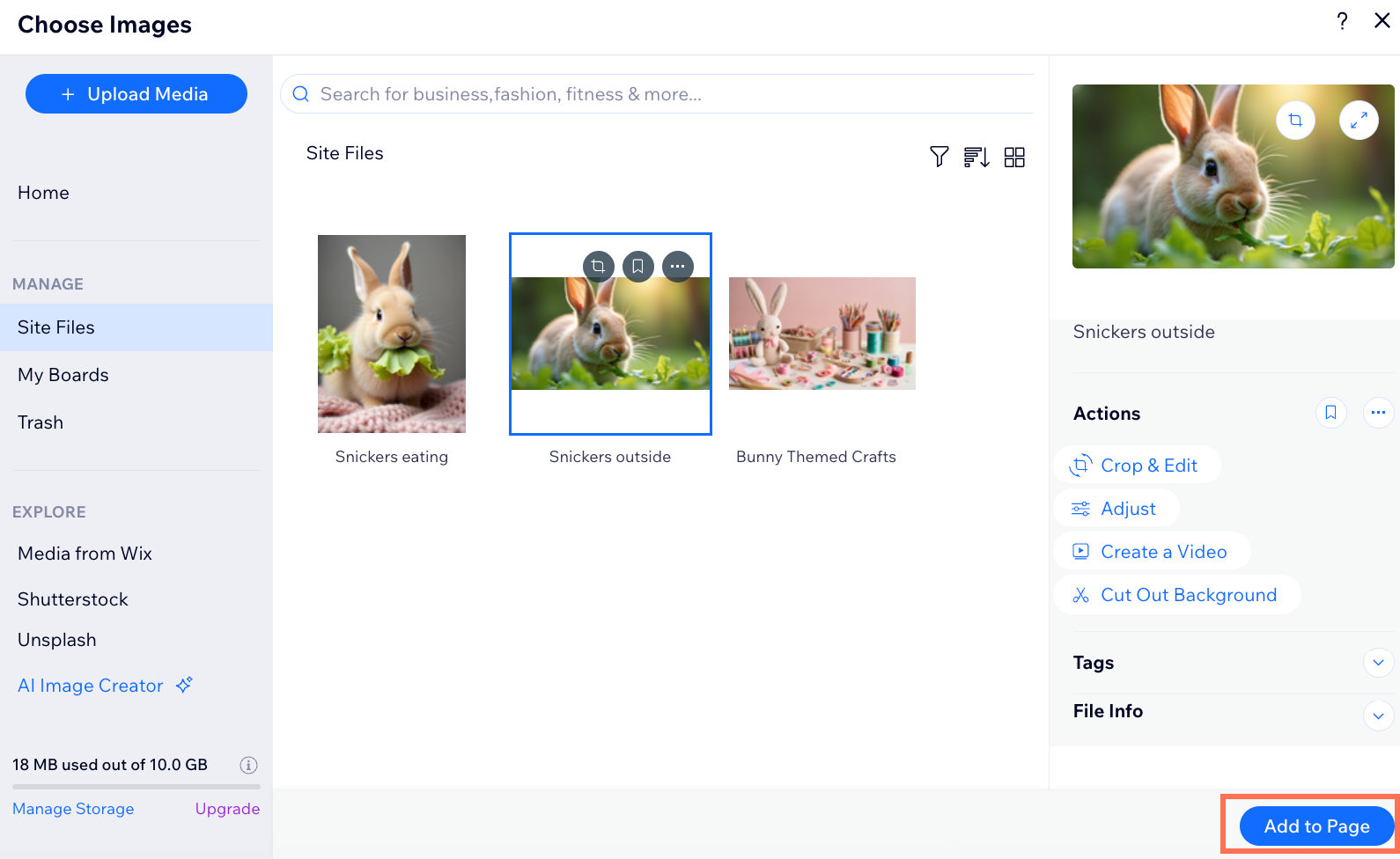 A screenshot showing an image selected to add to a blog post
