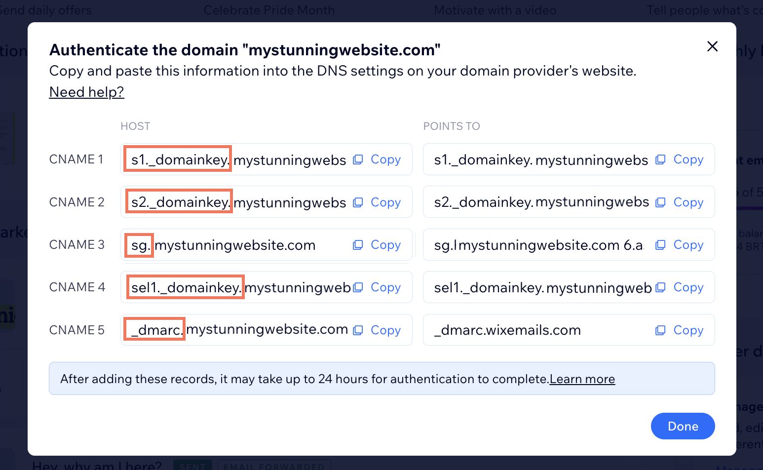 コピーが必要な箇所を強調した DNS レコードのスクリーンショット。