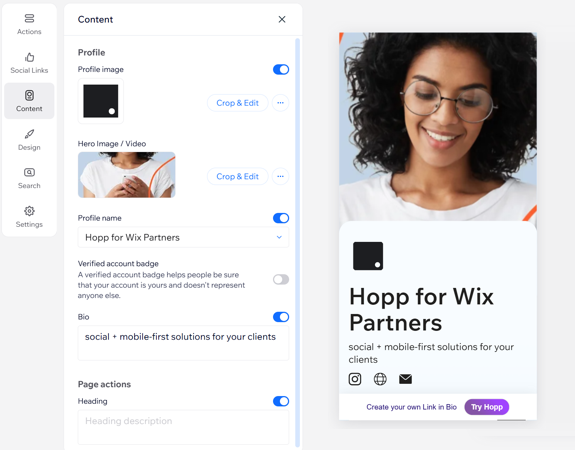 A screenshot of the content options when customizing a link in bio page.