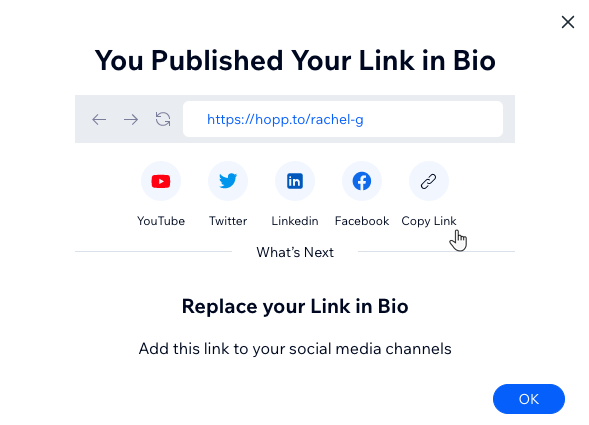Screenshot, der eine veröffentlichte URL zu einer Link in Bio-Seite zeigt, die kopiert und zu deinen Social-Media-Profilen hinzugefügt werden kann.