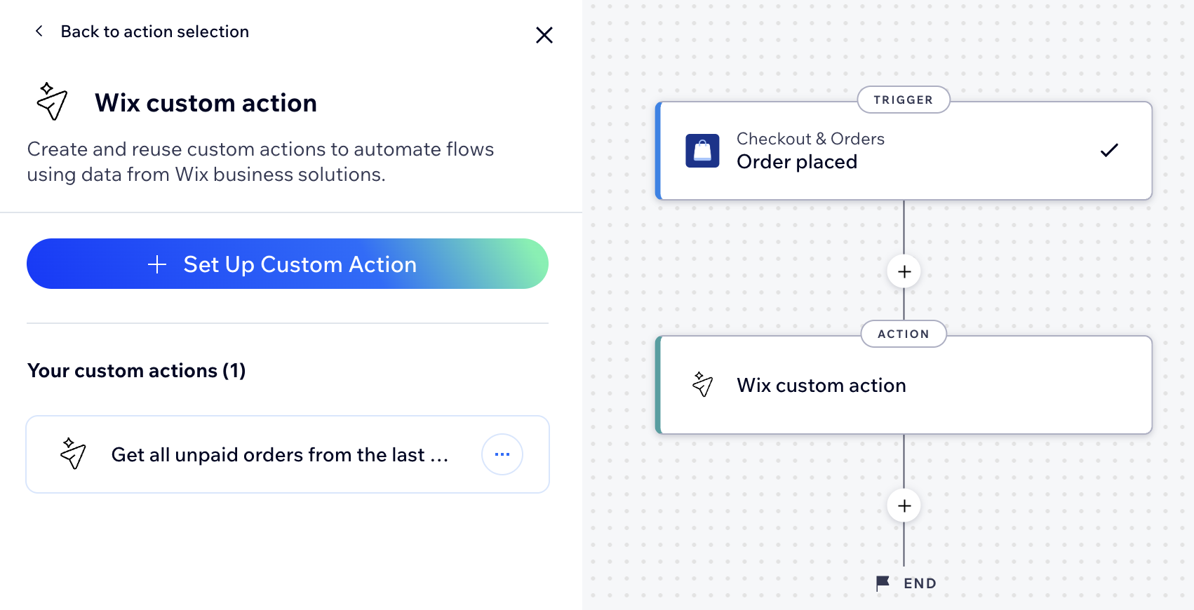 Screenshot of the custom action settings panel when opening the action.