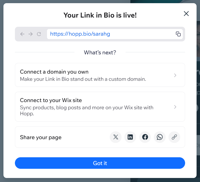 A screenshot showing a published link in bio URL that can be copied and added to your social profiles.