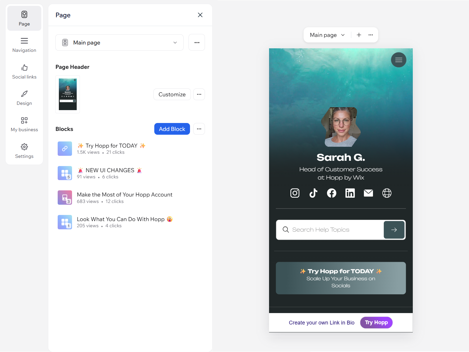 A screenshot showing a Link in bio page with customizing options on it.