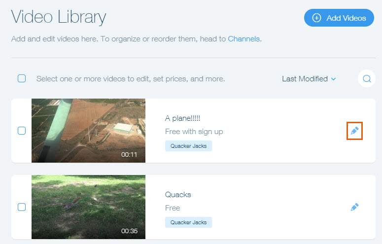 A screenshot showing the edit button beside a video in the video library.