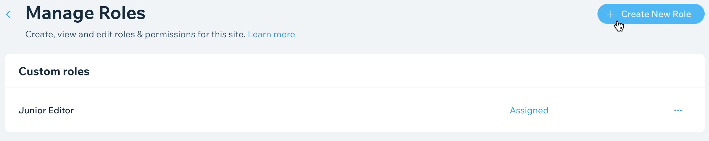 Screenshot of the Wix dashboard Manage Roles page, the cursor is hovered over the Create New Role button