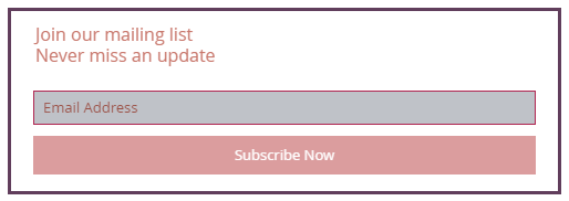 Screenshot of a subscribers form on a Wix site