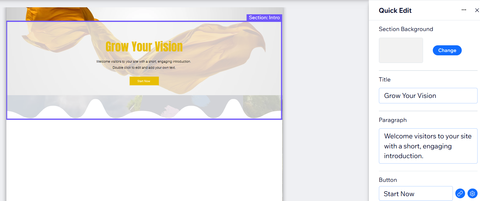 screenshot of quick edit panel in the wix editor with a section selected.