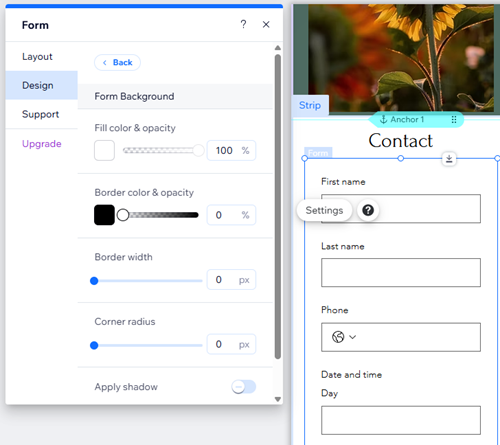 Screenshot der Designeinstellungen für Wix Forms.