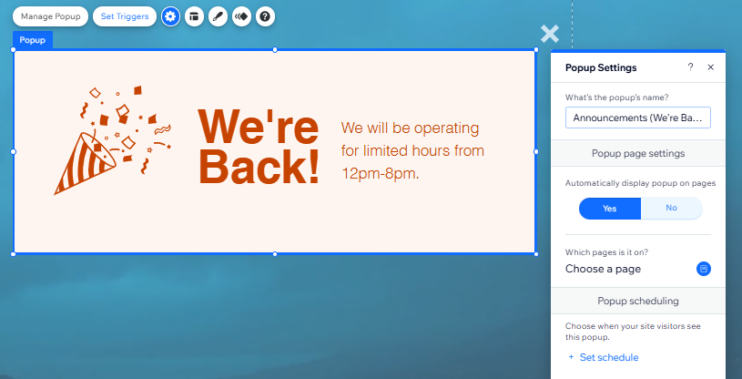 popup settings panel wix editor