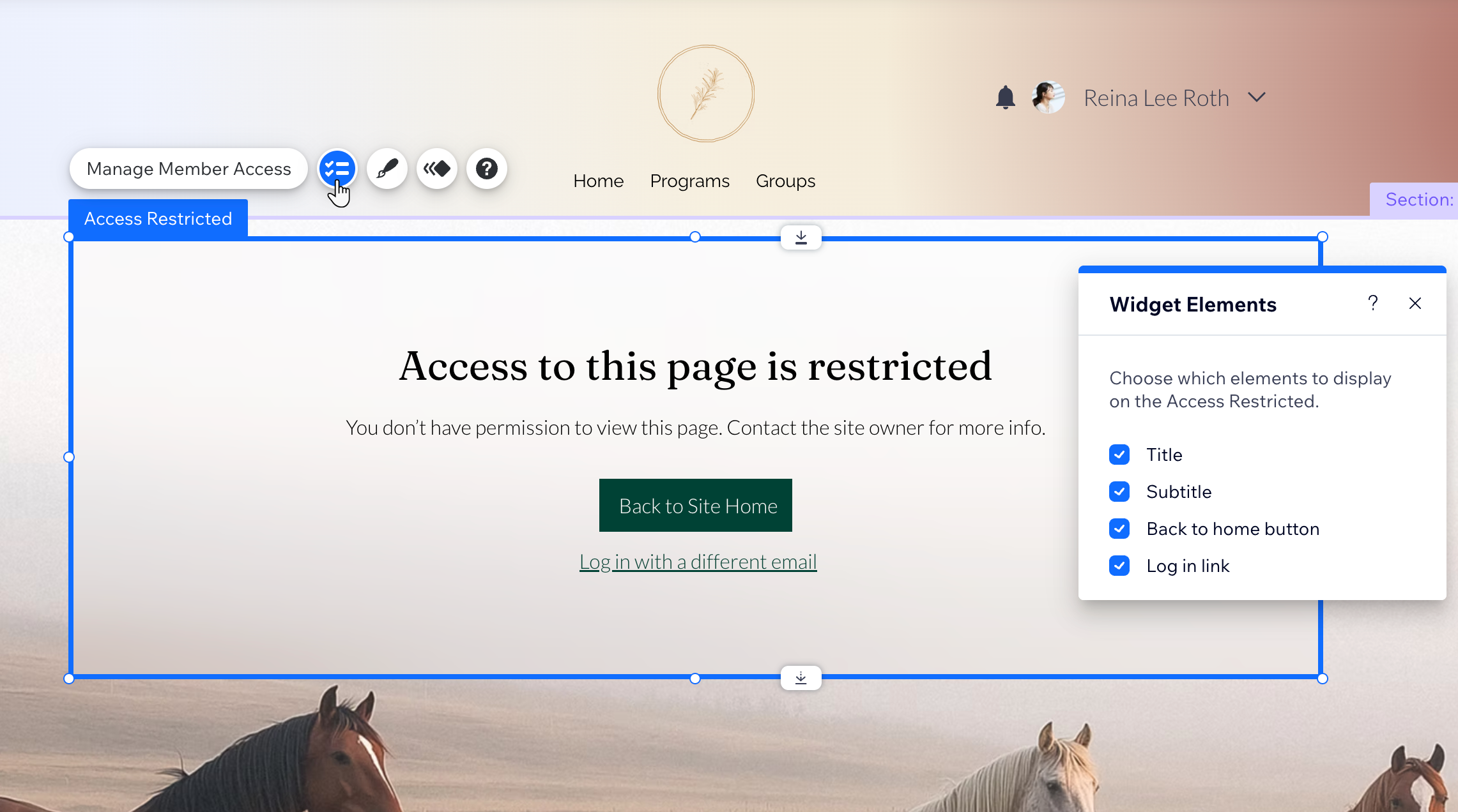 Wix エディタでアクセス制限ページが表示されたスクリーンショット。