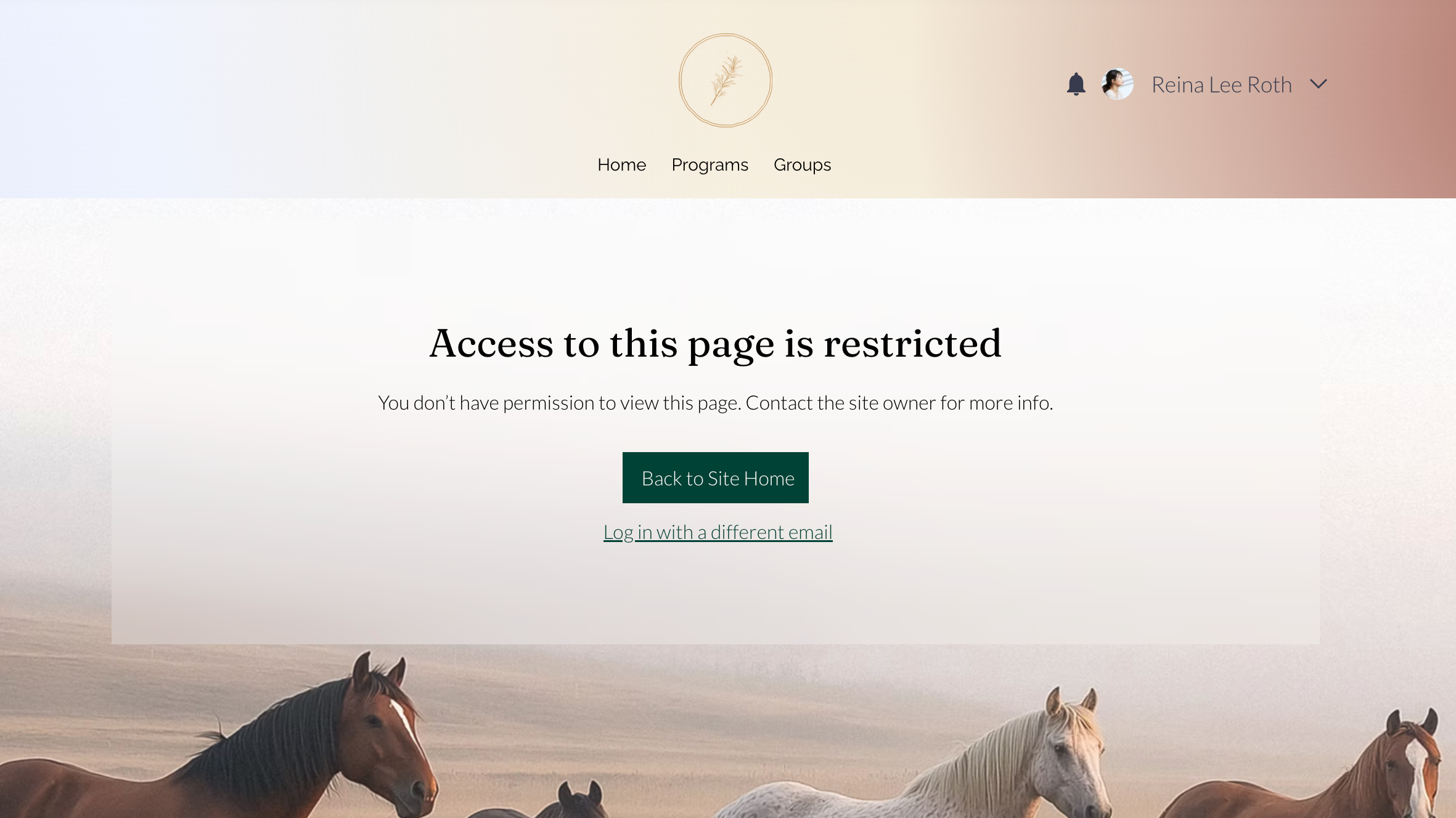 Wix エディタでアクセス制限ページが表示されたスクリーンショット。