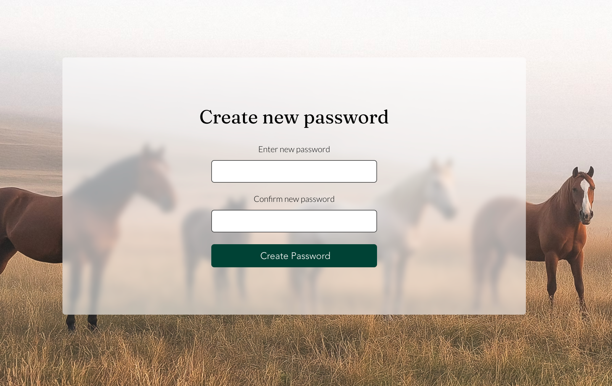 Wix サイトに表示された「新しいパスワードを設定」ページのスクリーンショット。
