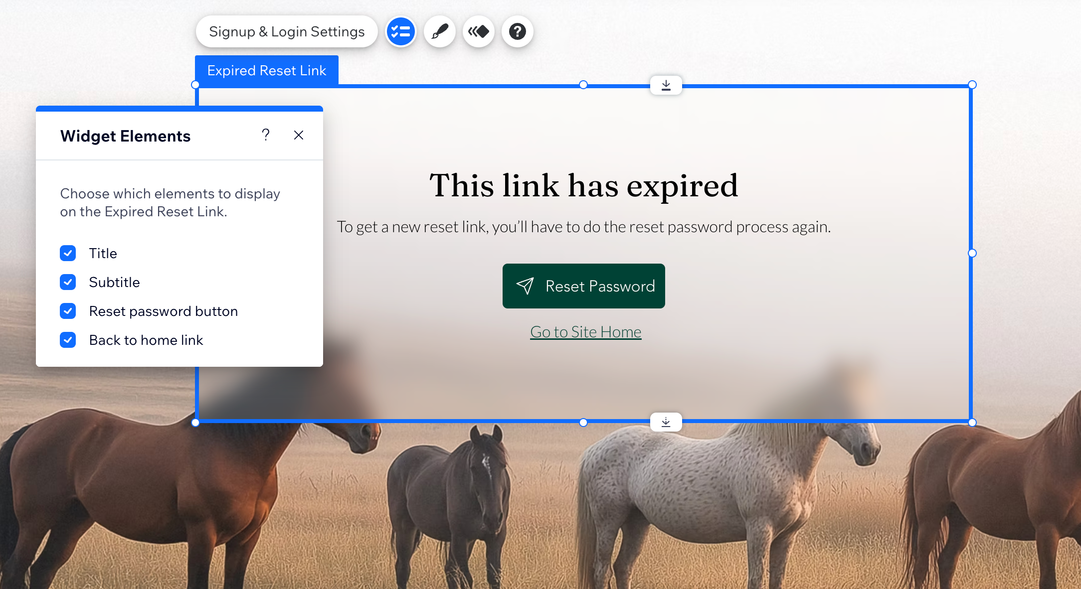 Wix エディタで期限切れの再設定リンクページが表示されたスクリーンショット。