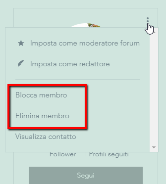Screenshot che mostra come bloccare o eliminare un membro del sito