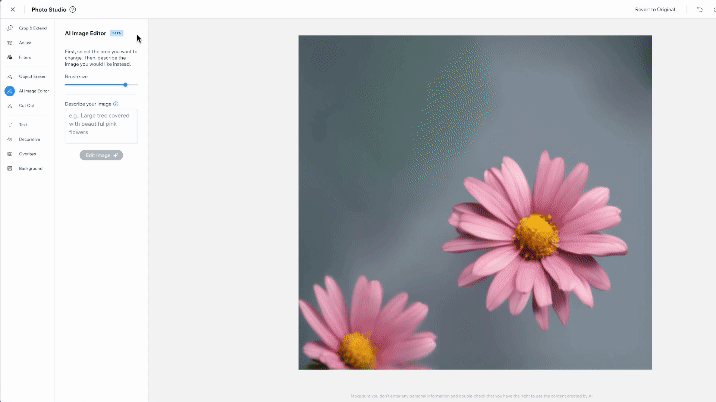 A gif of the AI image editor that switches between the original image and the edited image.