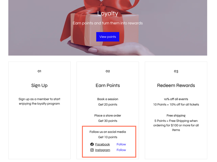 A screenshot of highlighting the earning rule 'follow us on social media' on the loyalty program page on a live site.