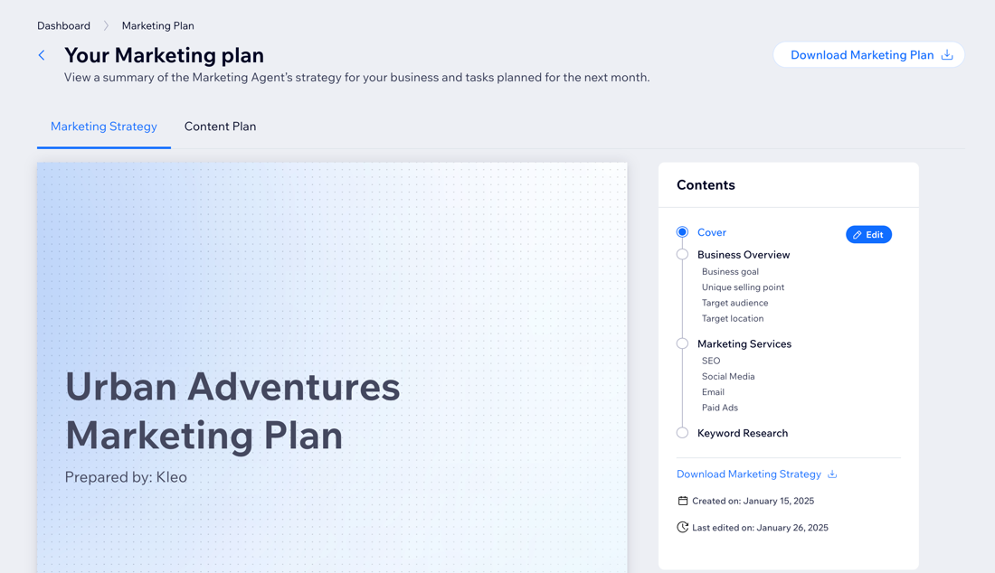 A screenshot of the marketing plan in the AI Marketing Agent dashboard.