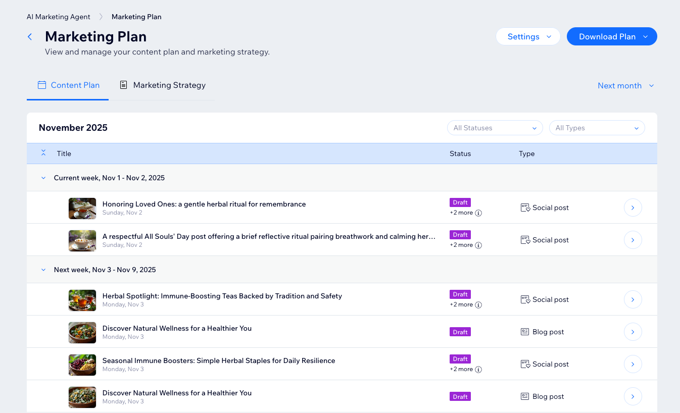 Een screenshot van het marketingplan in het AI Marketing Agent-dashboard.