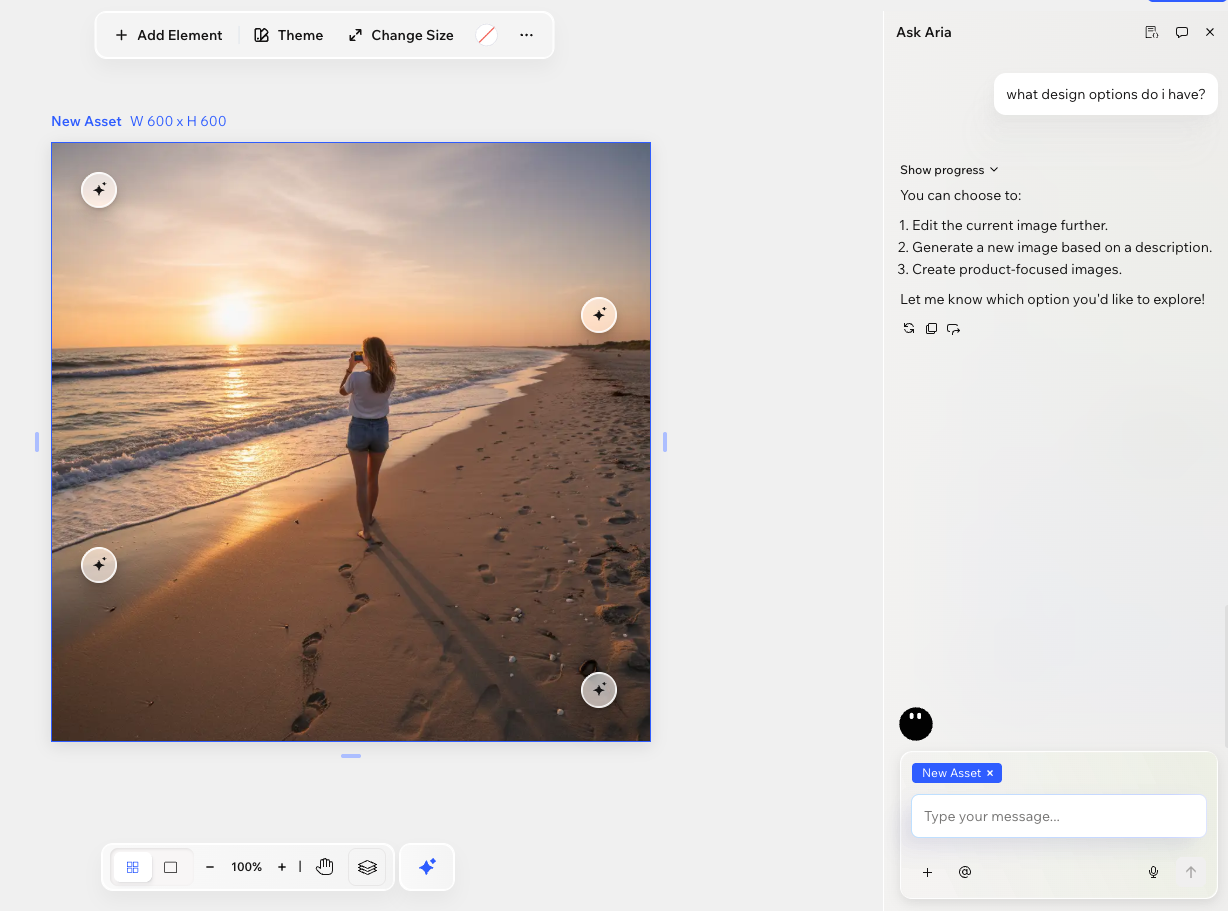 A screenshot of the Aria chat in a Wixel project.