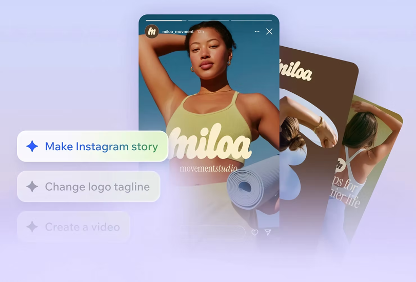 A marketing screenshot of different assets in Wixel.