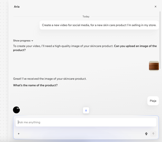 A screenshot of chatting with Aria about creating a video.