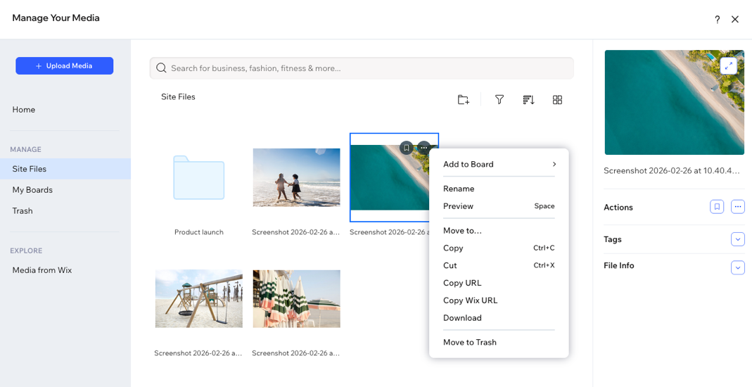 Captura de pantalla del administrador de multimedia de Wixel.