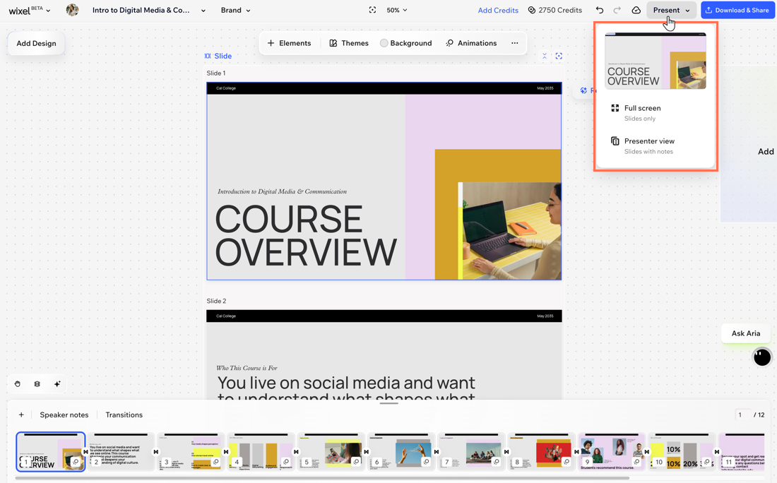 A screenshot of the Present options for Wix Slides.