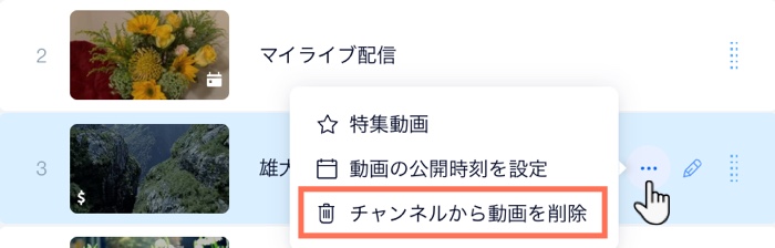 「チャンネルから動画を削除」オプション