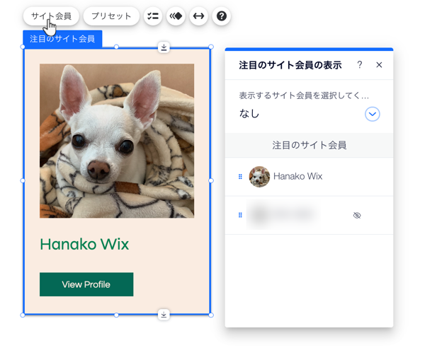 「注目のサイト会員」リストに表示する会員を選択する「サイト会員表示」パネルのスクリーンショット