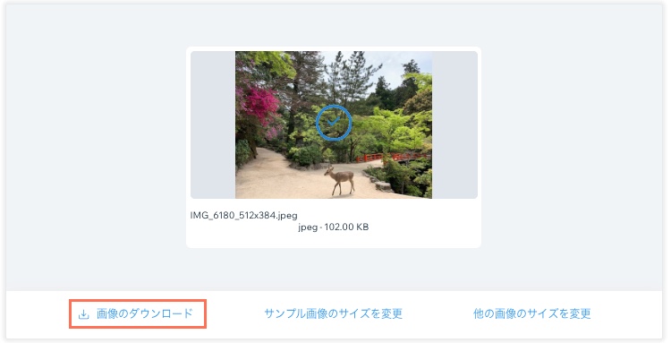 画像のサイズが変更された後の「画像のダウンロード」ボタンを示したスクリーンショット。