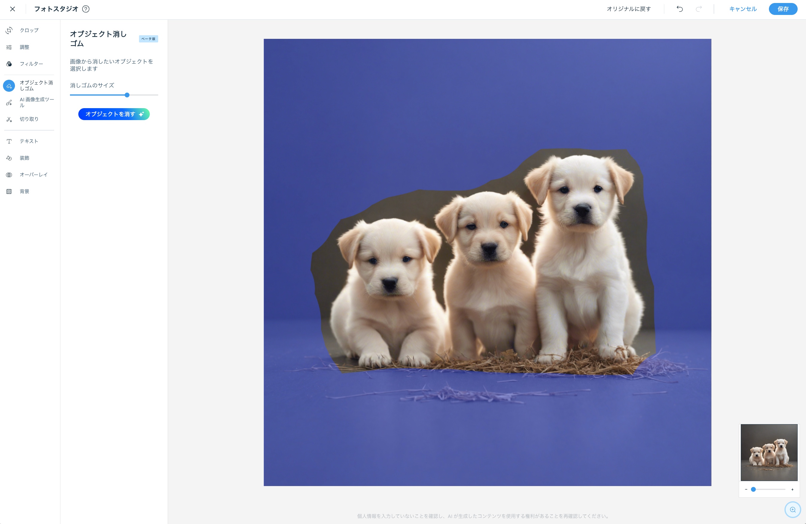 フォトスタジオパネルの「オブジェクト消しゴム」設定のスクリーンショット。背景を消去するように選択されている子犬の画像。