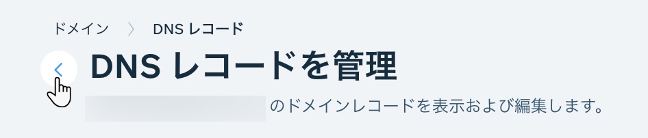 DNS レコードを管理するページ