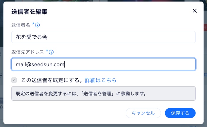 送信者が独自ドメインに接続している様子を示したスクリーンショット。