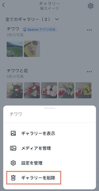 A screenshot showing you can delete a gallery