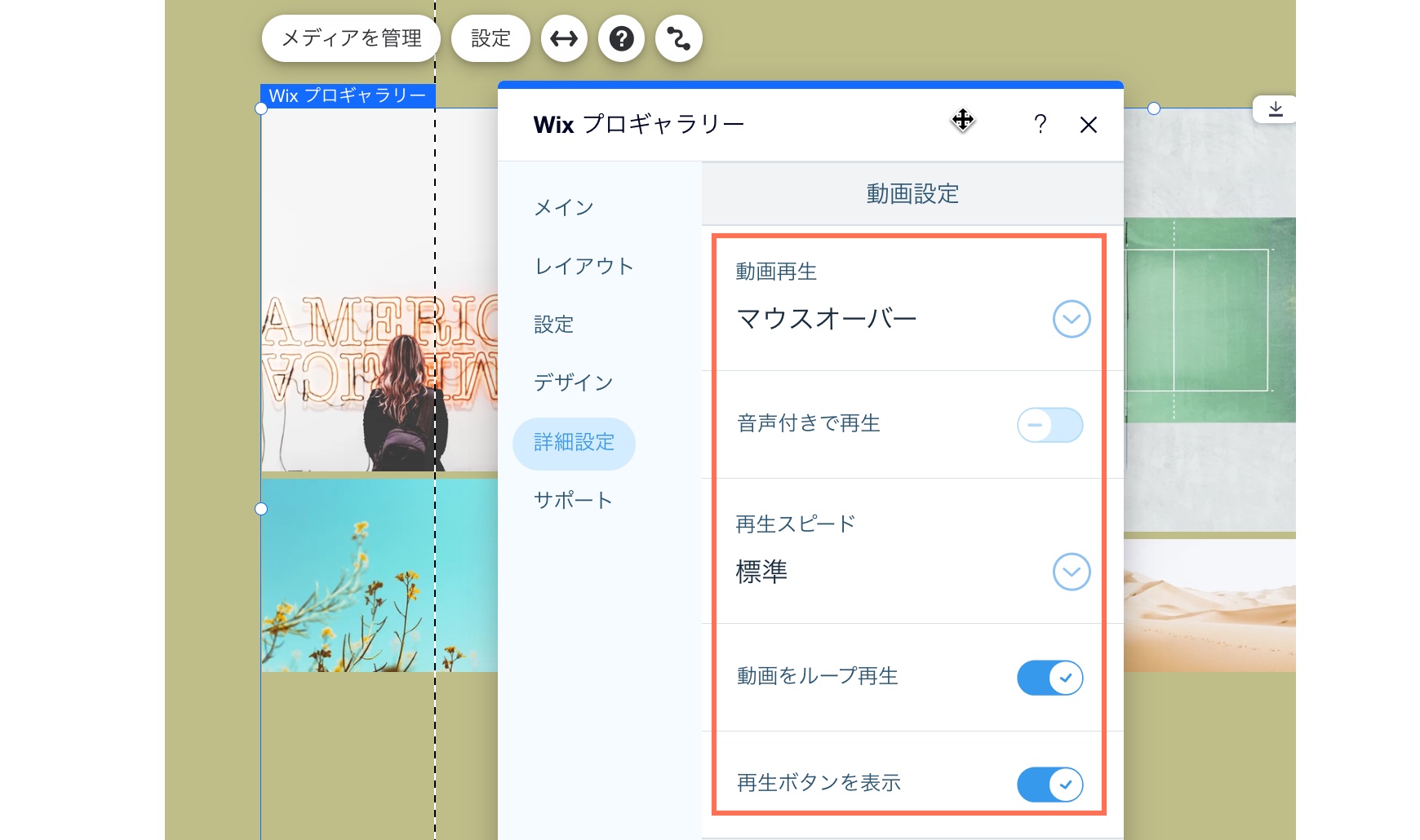 Wix プロギャラリーの動画設定のスクリーンショット。