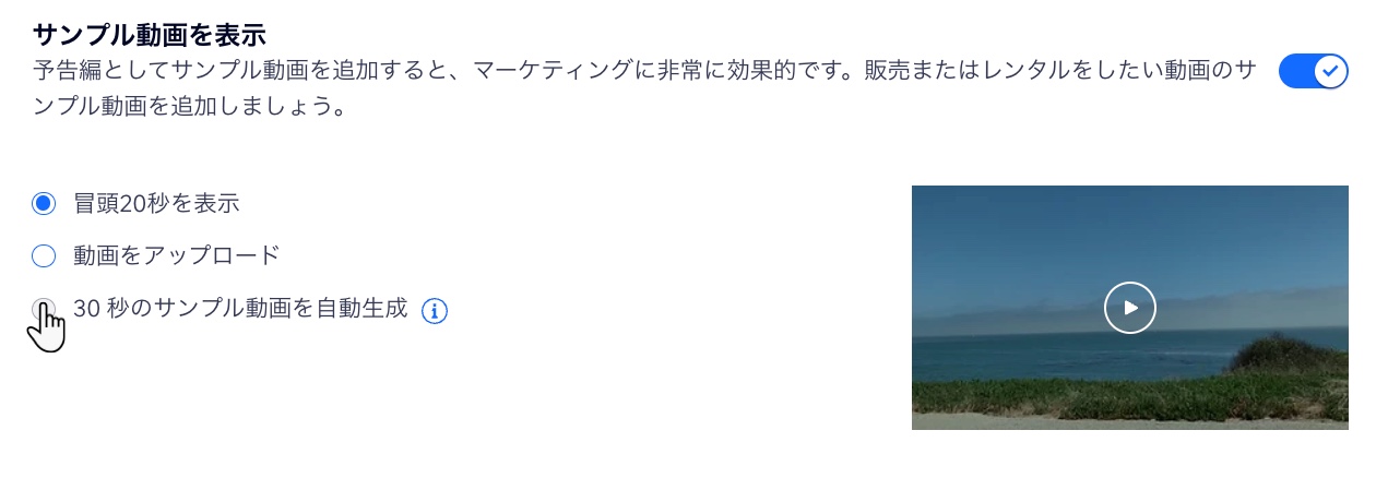 「30 秒のサンプル動画を自動生成」トグルが有効になっています。