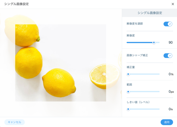プロギャラリーの「シングル画像設定」のスクリーンショット